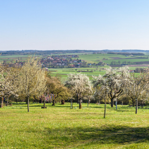 Impressionen_Naturbriefkasten_20210426_01