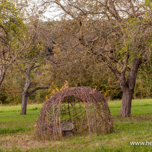 20211009_DSC3220-HDR